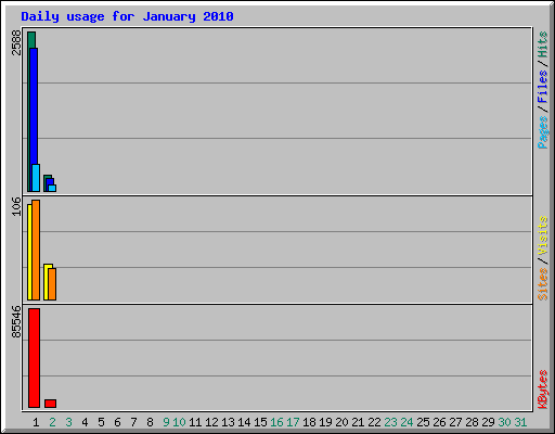 Daily usage for January 2010