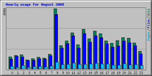 Hourly usage for August 2009