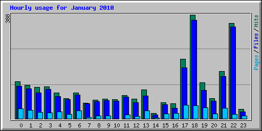Hourly usage for January 2010